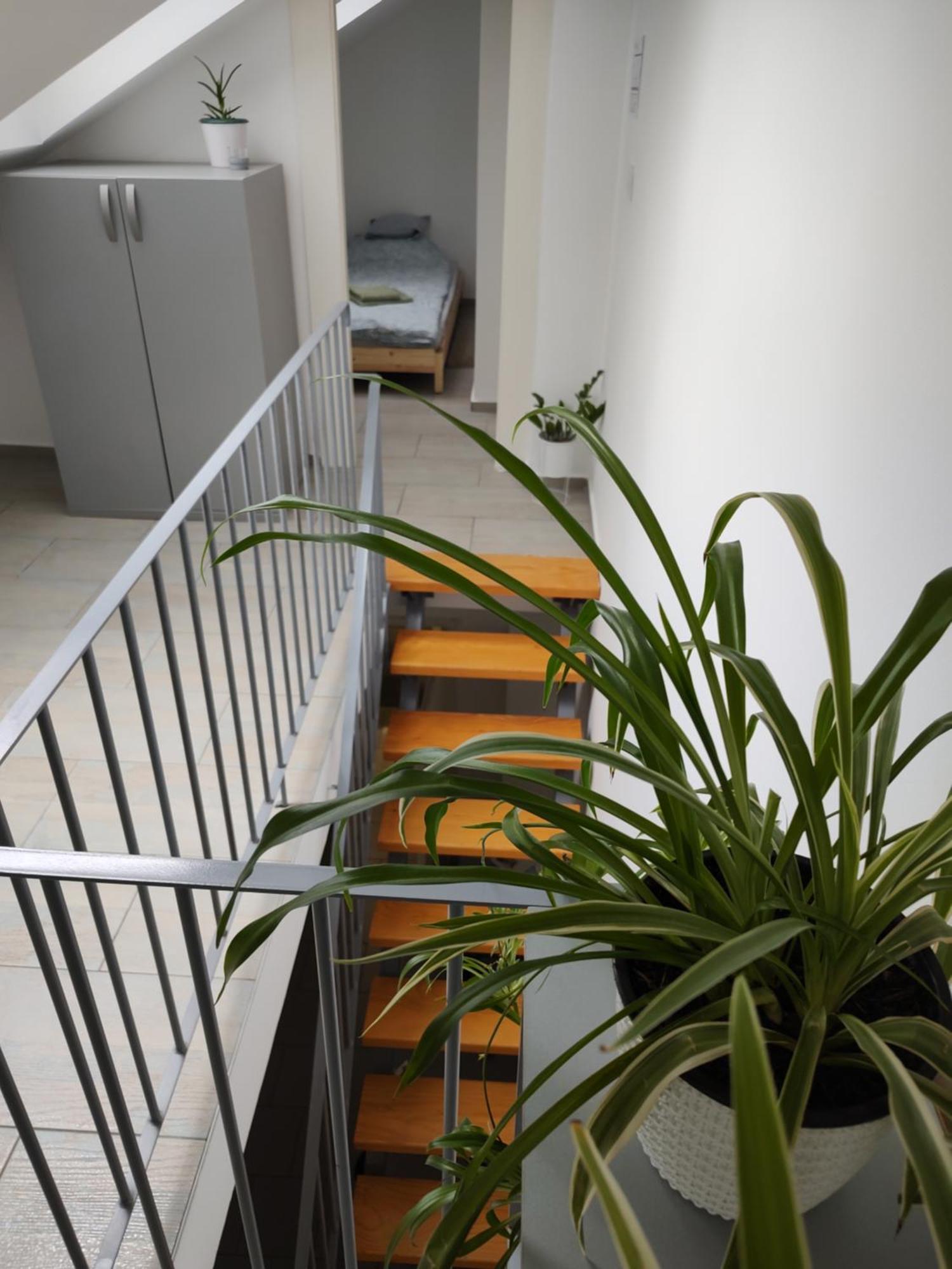 Twowheels Apartment - Apartment With Bicycles Novi Sad Cameră foto