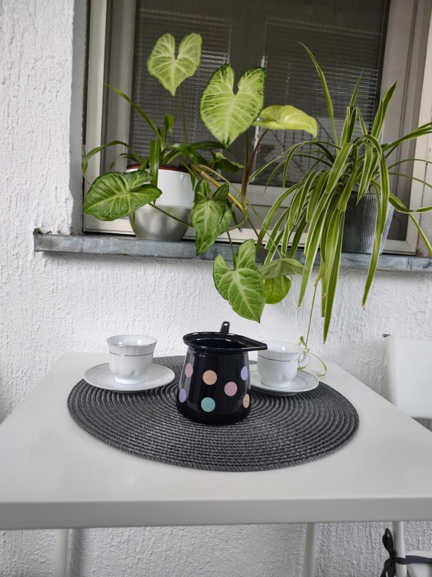 Twowheels Apartment - Apartment With Bicycles Novi Sad Exterior foto